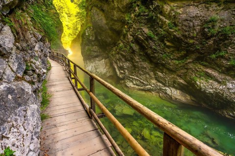 Scenic wooden walkway winds through vintgar gorge, showcasing stunning emerald waters and lush