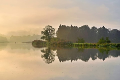 Morning atmosphere at the Flachsee, trees reflected in the water, Rottenschwil, Canton Aargau,