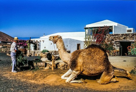 2016, Raimund Franken, Model Release:Not, Property Release: Not Tiagua, Lanzarote, Farm Museum El
