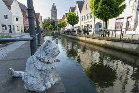 Bronze sculpture by Cornelia Brader: City tomcat Chicco at the city stream, behind it Our Lady's