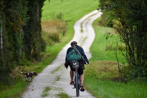 Hunter on a bicycle with rucksack and rifle, accompanied by his hunting dog, on a gravel road near