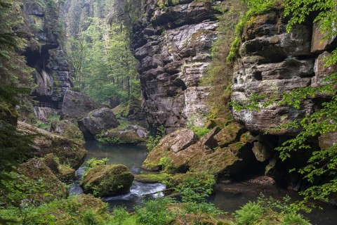 Flowing water with ferns and rocks in the Wild Gorge, river Kamnitz, Hrensko, Ustecky kraj, Czech