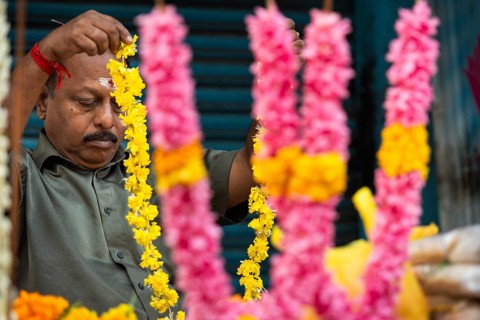 Flower seller, flower garlands, blossoms, Alappuzha or Alleppy, Kerala, India, Asia
