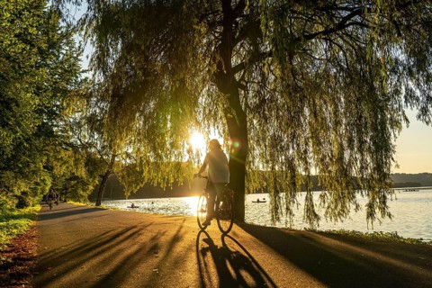 Cycling on Lake Baldeney, around 14 kilometres around the Ruhr reservoir, summer evening on the