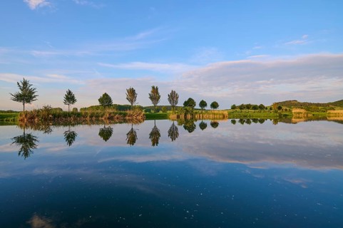 Lake in spring with row of trees and reflection, Drei Gleichen, Ilm-Kreis, Thuringia, Germany,