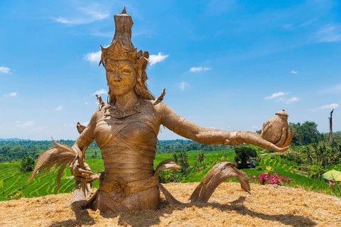Statue of Dewi Sri, goddess of rice, rice goddess, Jatiluwih rice terraces, Bali Indonesia