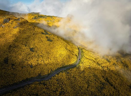 Aerial view of road among yellow Cytisus blooming shrubs near Pico do Arieiro, Portugal in clouds