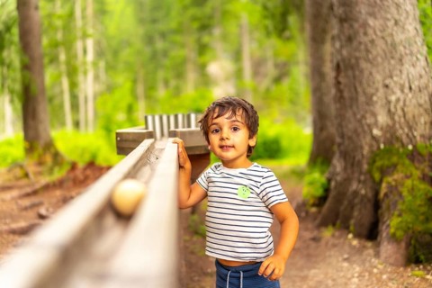 Young boy enjoying a wooden marble run in a forest by lake braies, surrounded by the scenic
