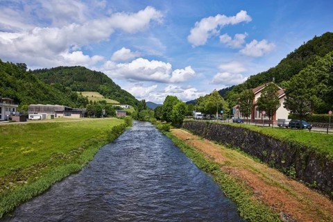 River Kinzig, meadow, trees, hilly landscape with coniferous forest, blue sky with fair weather