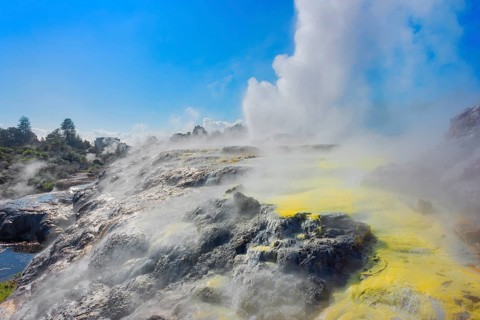 Prince of Wales and Pohutu geysers erupting, Te Puia Thermal Valley, Rotorua, Bay of Plenty, North