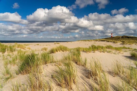 Dunes at the coast of Ellenbogen and the lighthouse List-Ost, List, island Sylt, district