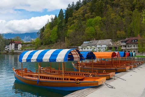 Wooden boats with strip canopies on a quiet lake in front of forest and houses, Lake Bled, Lake