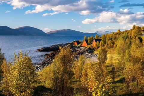 Boat cabins in an autumnal landscape on the Lyngenfjord, Lyngen, Troms og Finnmark, Norway, Europe