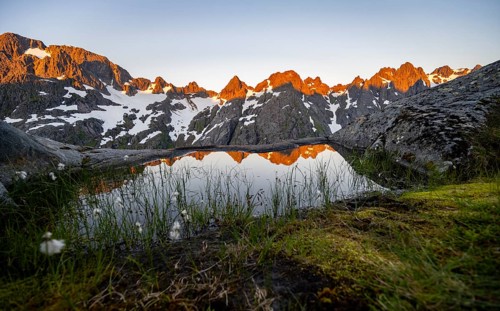 Rocky mountain peaks with reflection, small pond with cotton grass in moor landscape at Trollfjord