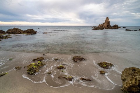 Rocky coast, rocks washed by water, Cabo de Gata-Nijar Natural Park, Almeria, Andalusia, Spain,