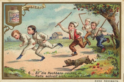 Picture series Children as fruit thieves, all the neighbours are moving in, save yourself quickly