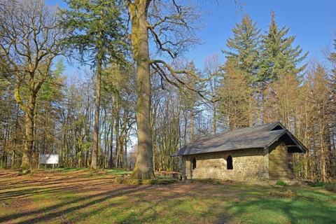 Shelter from the Celtic ring wall, Celtic, forest, Hunnenring, Otzenhausen, Nonnweiler, Hunsrück,