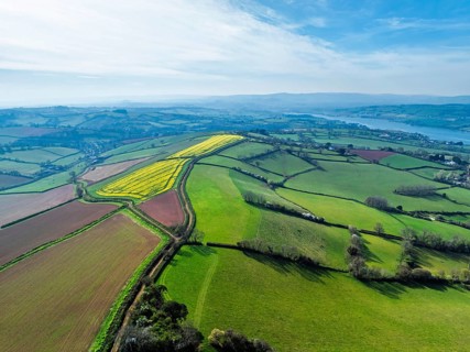 Rapeseed fields over the River Teign from a drone, Teignmouth, Shaldon, Devon, England, United