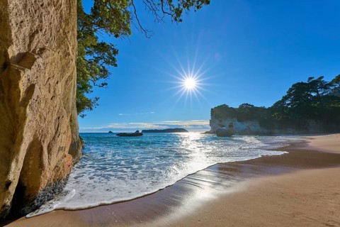 Beach with sunlight and trees in the background, Cathedral Cove, Coromandel, Canterbury, North