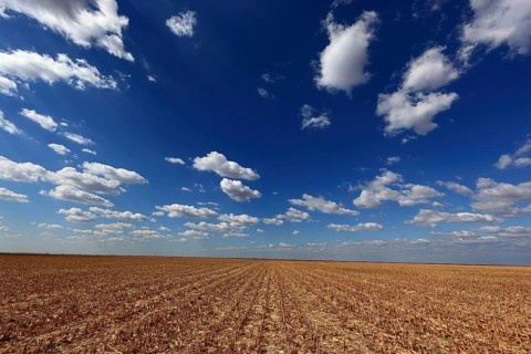 Romania, in the south of the country, maize field after the harvest, harvested, Europe