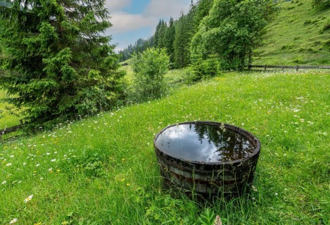Landscape and nature around Bad Tölz, Bavaria, Germany, Europe