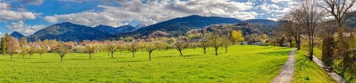 Wide green meadow with trees, surrounded by mountains under a cloudy sky in a spring landscape, Bad