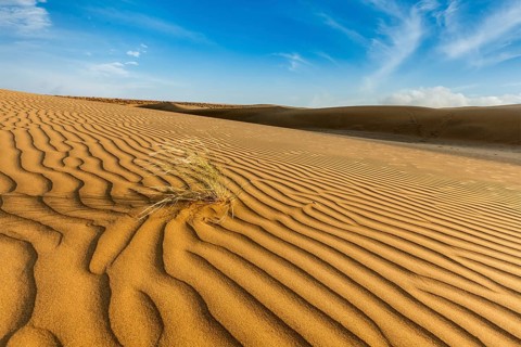 Dunes of Thar Desert. Sam Sand dunes, Rajasthan, India, Asia