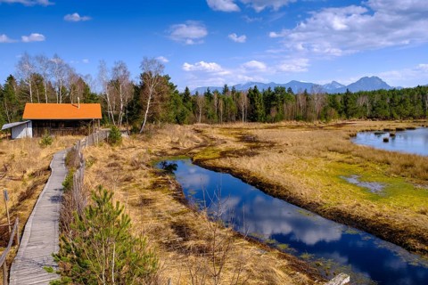 Nature discovery trail, wet moorland, peat extraction, Nicklheimer Filzen, Nickelheim, Upper