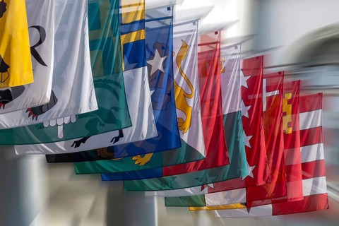 Symbolic photo of cantonal flags, Switzerland, Europe