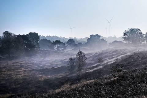 Landscape with wind turbines in the morning glow in autumn, Westruper Heide, Haltern am See, Ruhr
