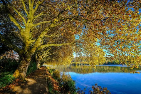 Essen, North Rhine-Westphalia, Germany - Golden autumn on Lake Baldeney