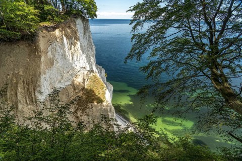 Cliffs and chalk cliffs Møns Klint, Mön Island, Denmark, Europe