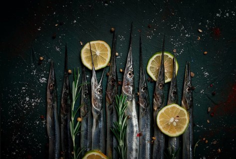 Fresh, Black Sea fish. raw, sargan, sea pike, top view, no people