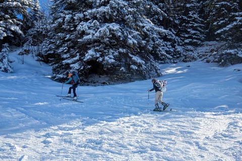Oberjoch, Bavaria: Ski tourers on the ascent. Ski touring is becoming increasingly popular