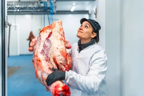 Female butcher reaching a piece of meat hanging in a factory