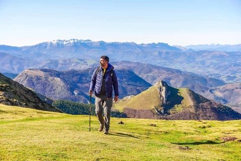Male hiker walking on grassy mountain slope with trekking poles, enjoying scenic view of mount