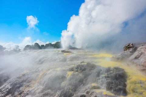 Prince of Wales and Pohutu geysers erupting, Te Puia Thermal Valley, Rotorua, Bay of Plenty, North