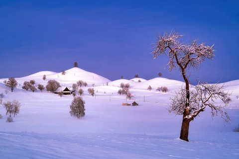 Snow-covered hilly landscape at dawn, Menzingen, Canton Zug, Switzerland, Europe