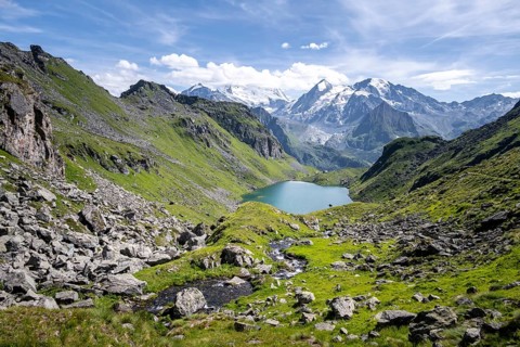 Mountain stream and mountain lake Lac de Louvie with glaciated summit of the Grand Combin, Val de