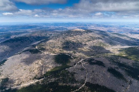 Brocken, Harz, forest dieback, aerial photo, Saxony-Anhalt, Germany, Europe