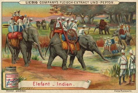 Picture series Animals of the countries, elephant from India, Liebig picture, digitally restored