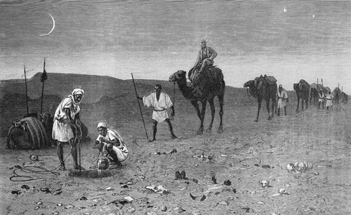 Nocturnal caravan through the Sahara reaches a waterhole, camels, rider, well, crescent moon,