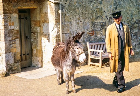 Donkey and animal keeper, Carisbrooke, Isle of Wight, England. 1973