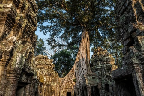 Ta Prohm, Angkor Wat, Angkor, UNESCO World Heritage Site, Siem Reap, Cambodia, Indochina, Southeast
