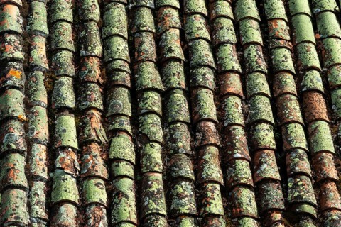 Close-up view of terracotta roof tiles showcasing unique textures and colors. The surface exhibits