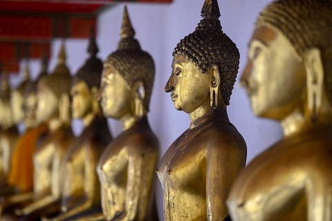Gilded Buddha statues in Wat Pho, Temple of the Reclining Buddha, Bangkok, Thailand, Asia