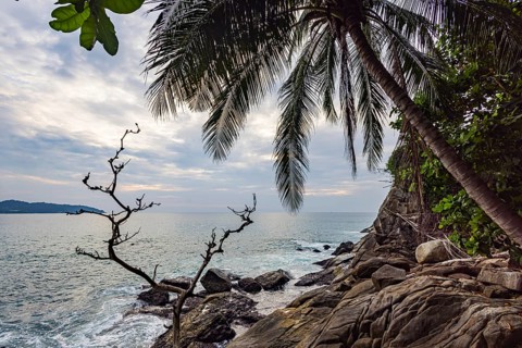 Wild beach with surf on the coast facing the Indian Ocean. Palm trees and high waves at sunset.
