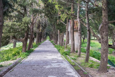 Way of the Cross on Mount Filerimos, Rhodes, Dodecanese, Greek island, Greece, Europe