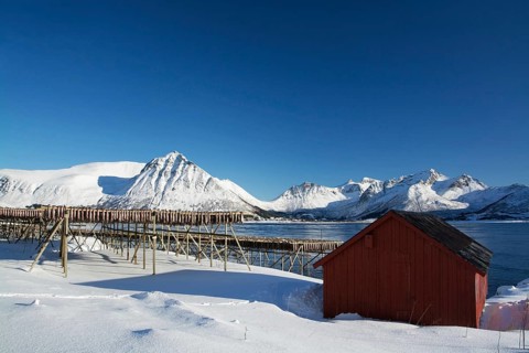 On the beach of Barstrand on the island of Gimsoymyrene, Lofoten, in Norway in winter, Norway,