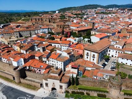 Aerial view of a city with red tiled roofs and old walls on a sunny day, aerial view, Puerta de